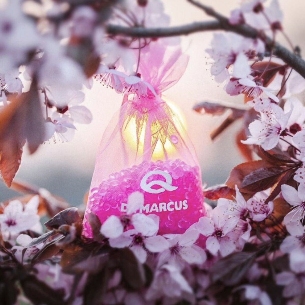 Car Air Freshener Dr Marcus Fresh Bag Chewing gum Fragrance Small bag-4